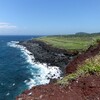 伊豆大島に行った話（2014）