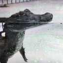 いつでもスッピン
