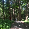 【雑事】長野県 戸隠神社に行ってきました