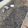 北側道路沿い砂利施工　ついでに近所を散策♪