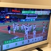 大きな野球少年たち