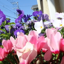 トキメキ備忘録