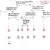 純粋補助事実の証拠能力