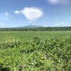 北海道の夏景色