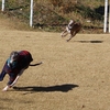 よく走るボクたち