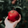 りんごの話①【人類が初めて栽培した果物】