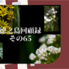 徳之島回顧録　その65（ユイの島　徳之島♪）