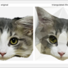 猫画像を三角形で分割して、塗ってみた話（Python＋OpenCVで遊んでみた）