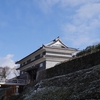 薄雪化粧の「鼠多門」