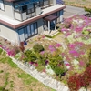 かつての我が家の芝桜　撮影：建築写真・竣工写真の齋藤写真事務所