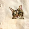 猫の刺繍のシャツ