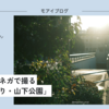 【513話・FUJIFILM】クラシックネガで撮る「日本大通り・山下公園」