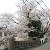 十年経った 今でも、義母が  決して触れないこと