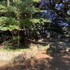 谷津山古墳〔柚木山神古墳〕のオススメ情報をご紹介！！