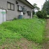 今日の草刈り