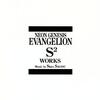 NEON GENESIS EVANGELION S2 WORKSの巻