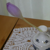 コルチカムの花はやっぱりすてき