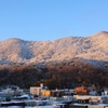 朝日に輝く