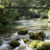 山県市の『円原川』へ納涼ドライブ。