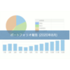 ポートフォリオ報告 (2020年8月)  経済対策による金余り状況でハイテク株と注目株に金が集まり米国株は暴騰相場へ...しかし突然の調整、天国から地獄へ