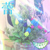 GReeeeN の新曲 蕾 歌詞