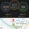 明日は世田谷246ハーフなんだけど・・・