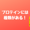 知ってた？プロテインには種類がある！