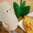 mimosasky -カナダ ウォータールーの空の下-