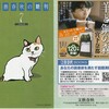 文藝春秋の新刊案内　2018　7　七月のねこ　大高郁子