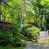 京都嵯峨野　苔庭と青もみじを楽しむ ①（祇王寺）