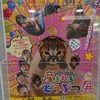 ドリームプラザのイベントへ