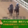 競馬無双で競馬予想！シルクロードステークス（GIII） 【競馬調教】 ダンスディレクター調教動画　「競馬レース結果ハイライト」2017年≪競馬場の達人,競馬予想≫JRA-VAN対応競馬ソフト