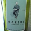 MARIUS GRENACHE SYRAH 2010 (2)