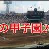 甲子園2015の組み合わせ発表！日程や試合放送時間と選手宣誓は誰