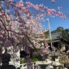 岐阜紀行②〜伊奈波神社へ⛩