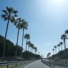 房総半島菜の花ドライブ