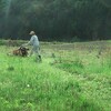 草刈りの季節が始まりました🌿