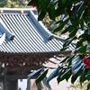 岡津町　春の光景