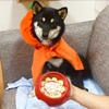 犬のハロウィン