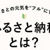 「さとふる」で”ふるさと納税”を申し込んで、”JALマイル”を1,500マイルゲット！「実質自己負担額0円」でお礼品をゲットしましょう！