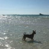 メキシコ観光：浅瀬が広がる楽園ホルボッシュ島 / Holbox