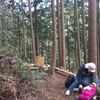 街に花を植え、森の中に道を作る
