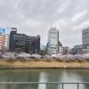 4回目の接種
