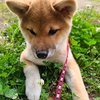 春、み～つけた！