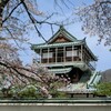 桜を求めて隣県へお出掛け♪