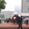 ２０年ぶりの函館競馬