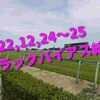 2022,12,24～25 トラックバイアス結果 (中山競馬場、阪神競馬場)