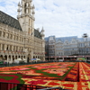 Brussels’ Flowercarpet !