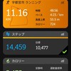 2度目のボランティアは柴又100kmで