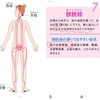 膀胱経は、脳に入る。。